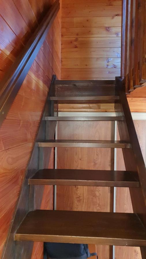 Chalet Individuel Les Sorbiers - 80M2 - Jardin - Barbecue - Wifi - Netflix - Ski & Randonnee - Pyrenees Catalanes Francaises - Eyne Bagian luar foto