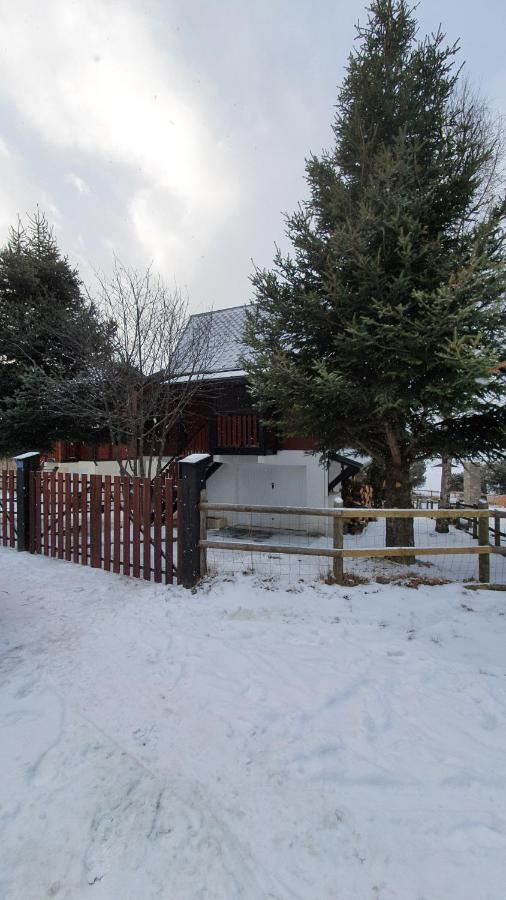 Chalet Individuel Les Sorbiers - 80M2 - Jardin - Barbecue - Wifi - Netflix - Ski & Randonnee - Pyrenees Catalanes Francaises - Eyne Bagian luar foto